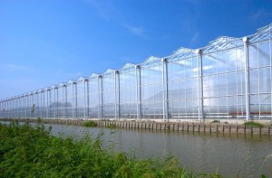 Greenhouse investment project